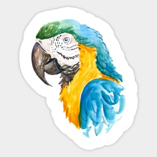 Blue and Gold Macaw Sticker